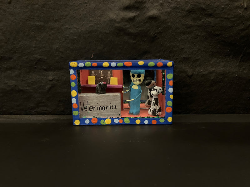 Nichos/skeleton shadow box Vet