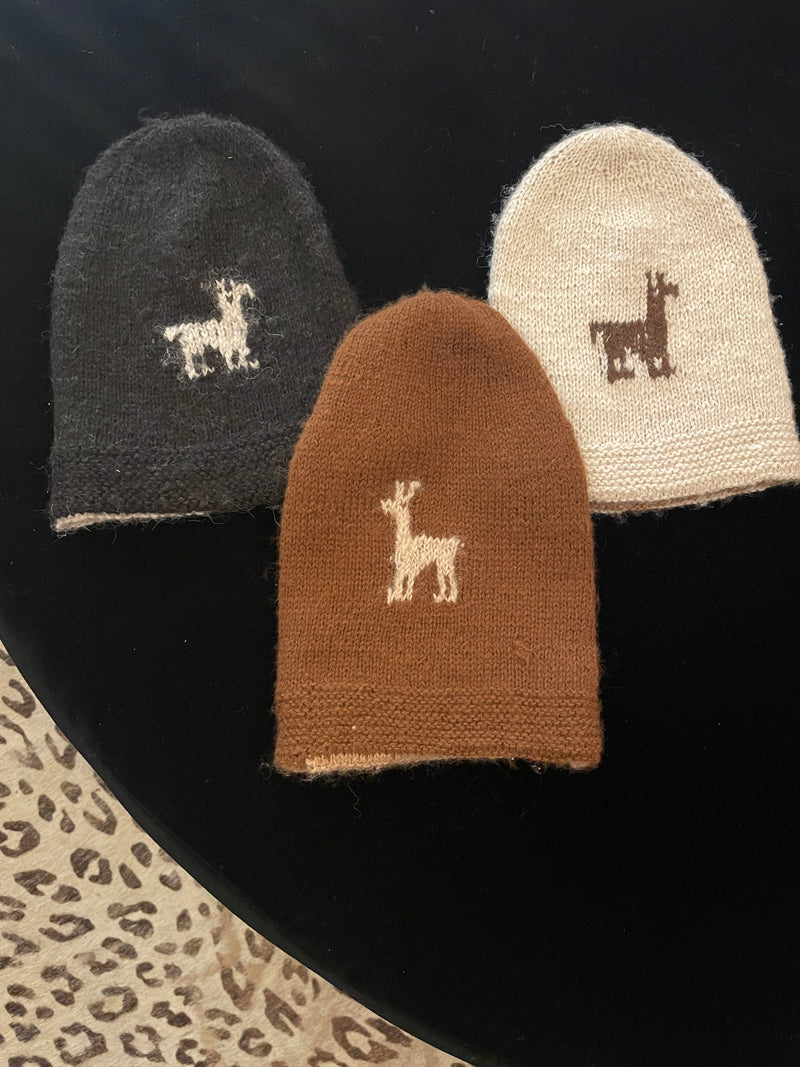 Beanie hats from chile