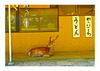 West Town Original Postcards A6 (Various)