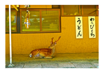 West Town Original Postcards A6 (Various)